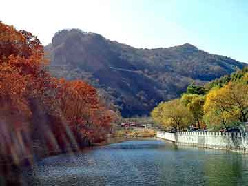 新澳天天开奖资料大全旅游团，宁强苗圃